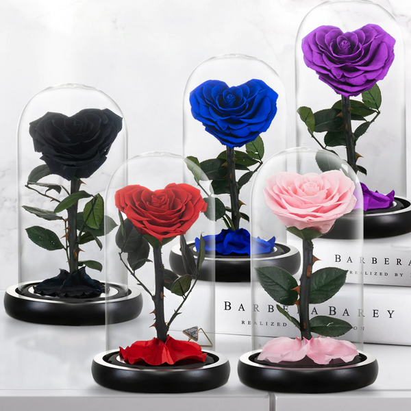 BLACK Forever Rose In Glass Dome