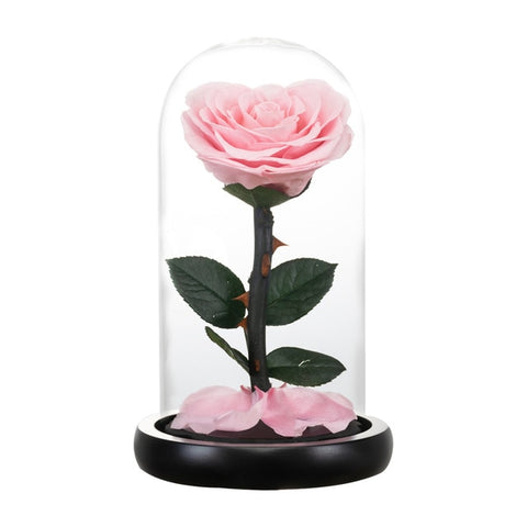 PINK Forever Rose In Glass Dome