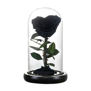 BLACK Forever Rose In Glass Dome