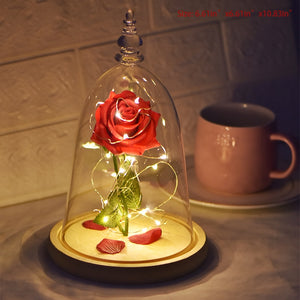 RED Beauty & The Beast Eternal Rose In LED Glass Dome